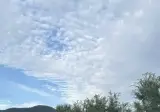 트로트 가수 홍진영 근황