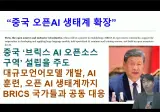 색스 : 너네 안하면 된다 (feat. 시진핑)