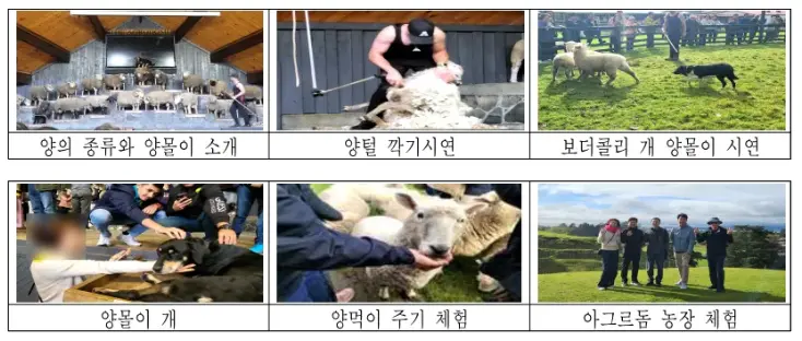 image.png 여수 섬박람회 국외출장 보고서 수준 .jpg