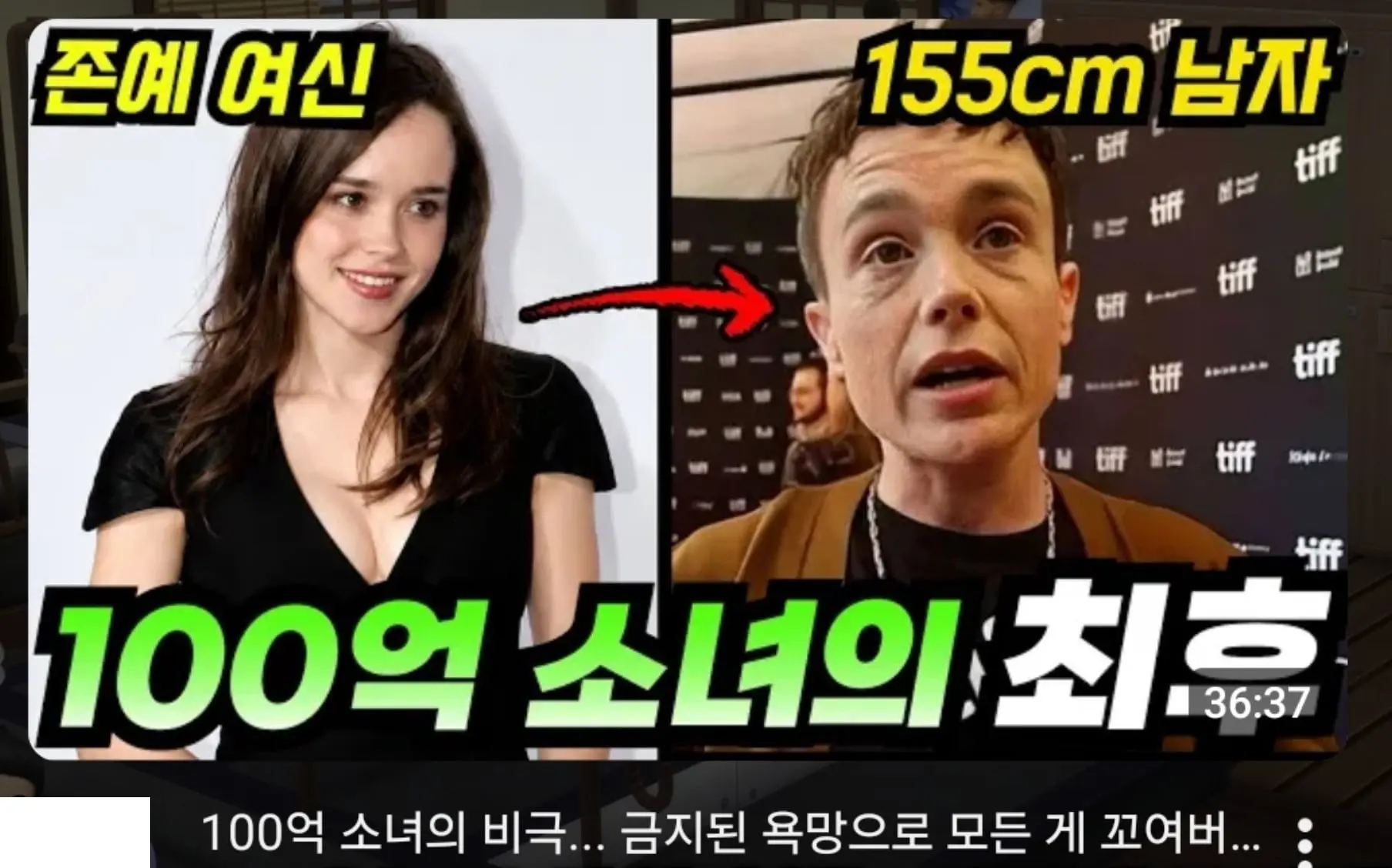 1561631.jpg