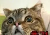 우리가 잘 알고 있다고 믿는 것