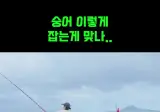 어질어질한 숭어 낚시 방법