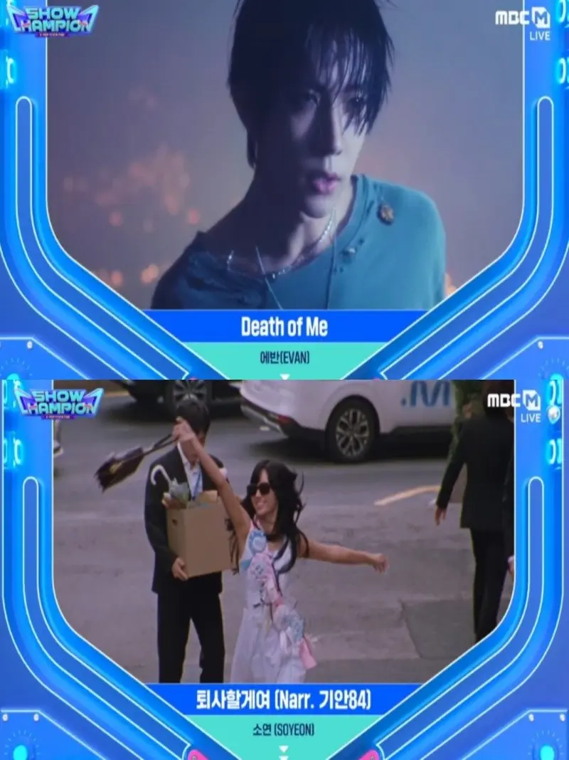 Show Champion 03.jpg