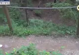 진짜 지X도 이런 지X이 없다는 개X랄난 런닝족들 근황.gif