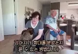 강아지가 학대를 받았는지 알아내는 방법