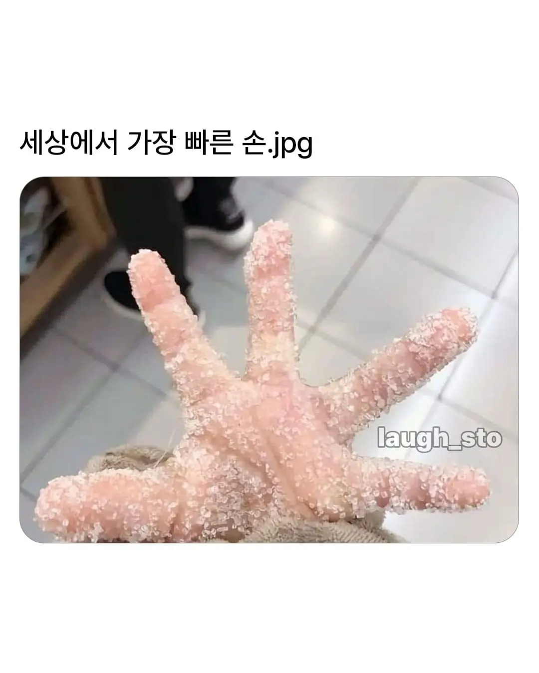 808930758_1410750437855125_978045852980051237_n.jpg