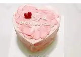 세상에서 가장 빠른 손.,jpg