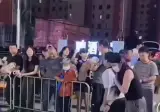 중국 동네 애견대회...mp4