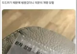병원갔는데 개명당함.jpg