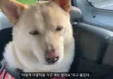 병원 의사에게 뚱뚱하다는 말을 들었어...jpg