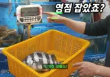 수산시장 저울치기 근황.jpg