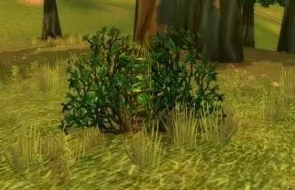 1168081-rustling-bush.jpg