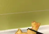 뒤치기하는 치킨너겟