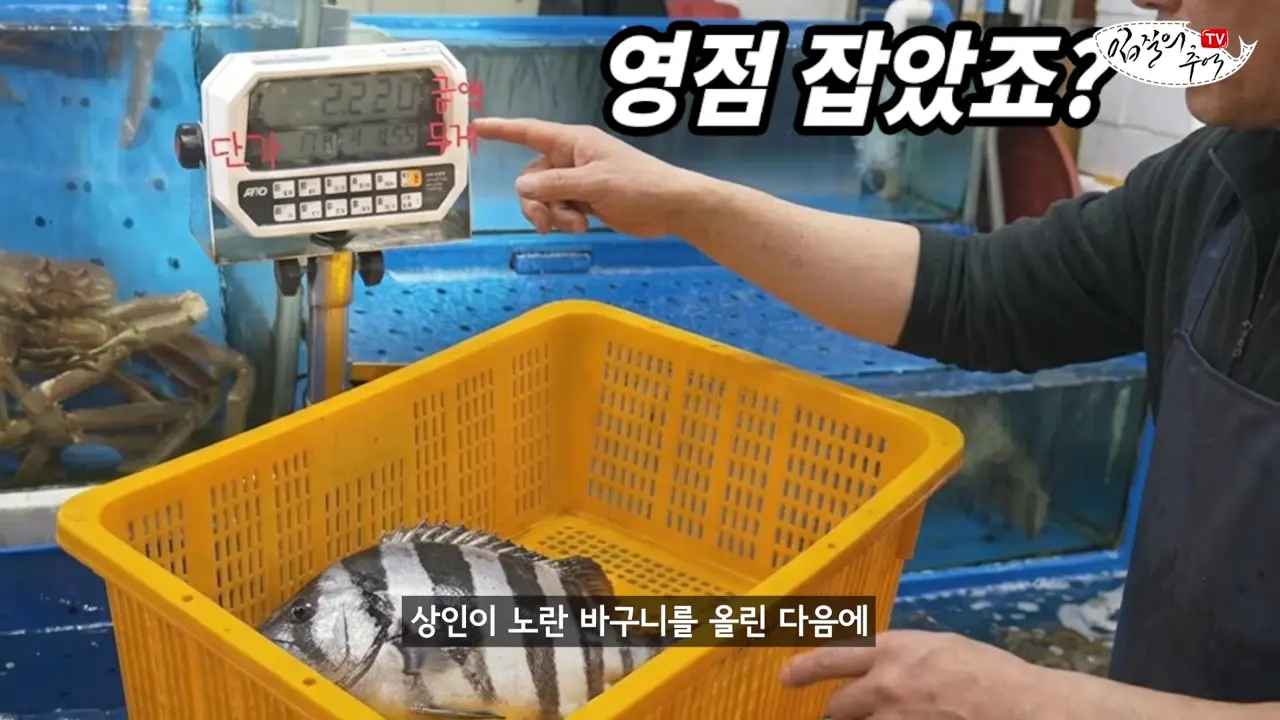 이걸로 얼마나 해먹었을까_ 저울창에 '이 숫자'가 보이면 무조건 신고하세요(입문철TV EP.39) 2-54 screenshot.png