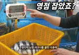 요즘 수산시장 저울치기 수법 (feat. 입질의추억)