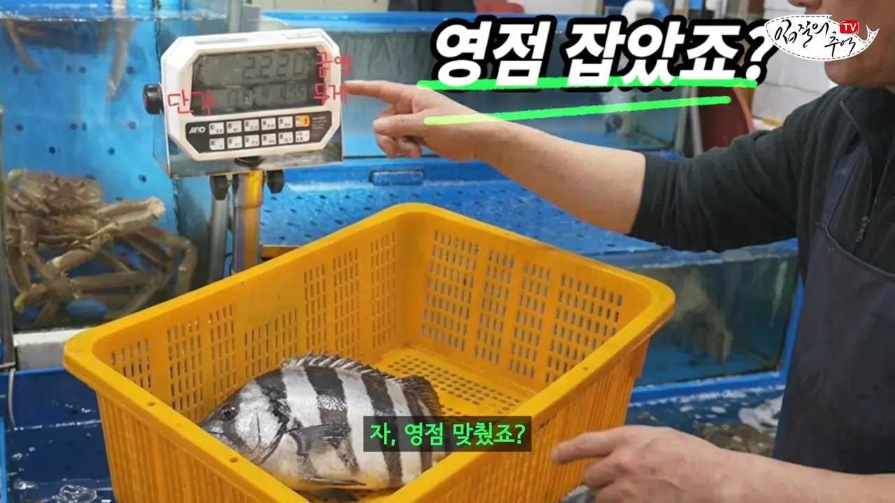이걸로 얼마나 해먹었을까_ 저울창에 '이 숫자'가 보이면 무조건 신고하세요(입문철TV EP.39) 2-56 screenshot.png