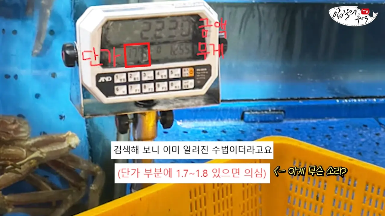이걸로 얼마나 해먹었을까_ 저울창에 '이 숫자'가 보이면 무조건 신고하세요(입문철TV EP.39) 2-13 screenshot.png