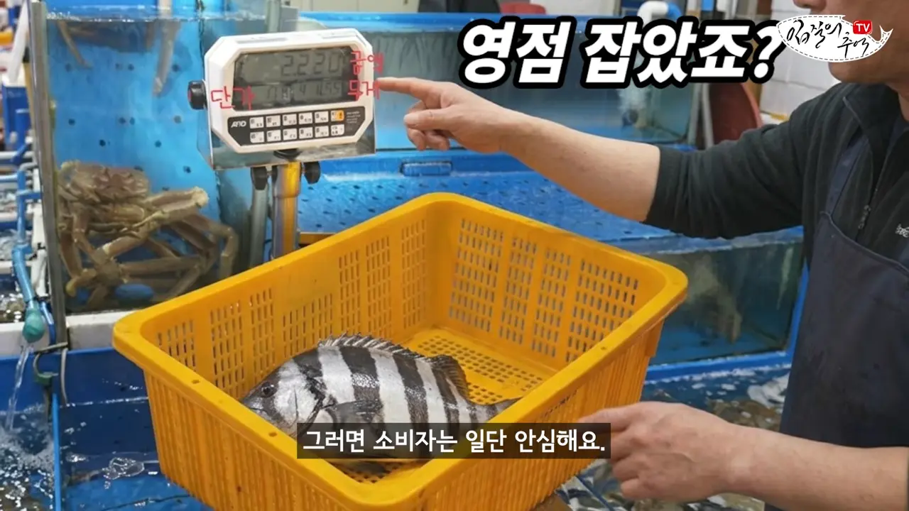 이걸로 얼마나 해먹었을까_ 저울창에 '이 숫자'가 보이면 무조건 신고하세요(입문철TV EP.39) 3-0 screenshot.png