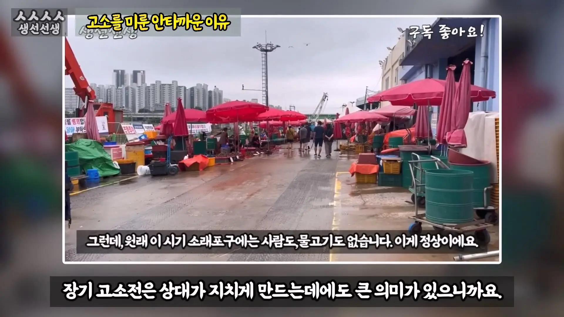 그동안 좀 시시했죠 노답 빌런 수산시장 상인때문에 급발진한 유튜버.mp4_20260919_101049.720.jpg