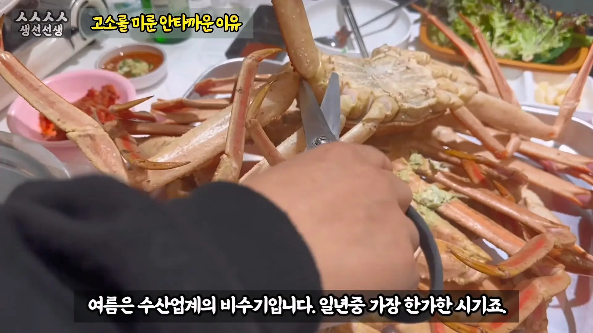 그동안 좀 시시했죠 노답 빌런 수산시장 상인때문에 급발진한 유튜버.mp4_20260919_101023.480.jpg