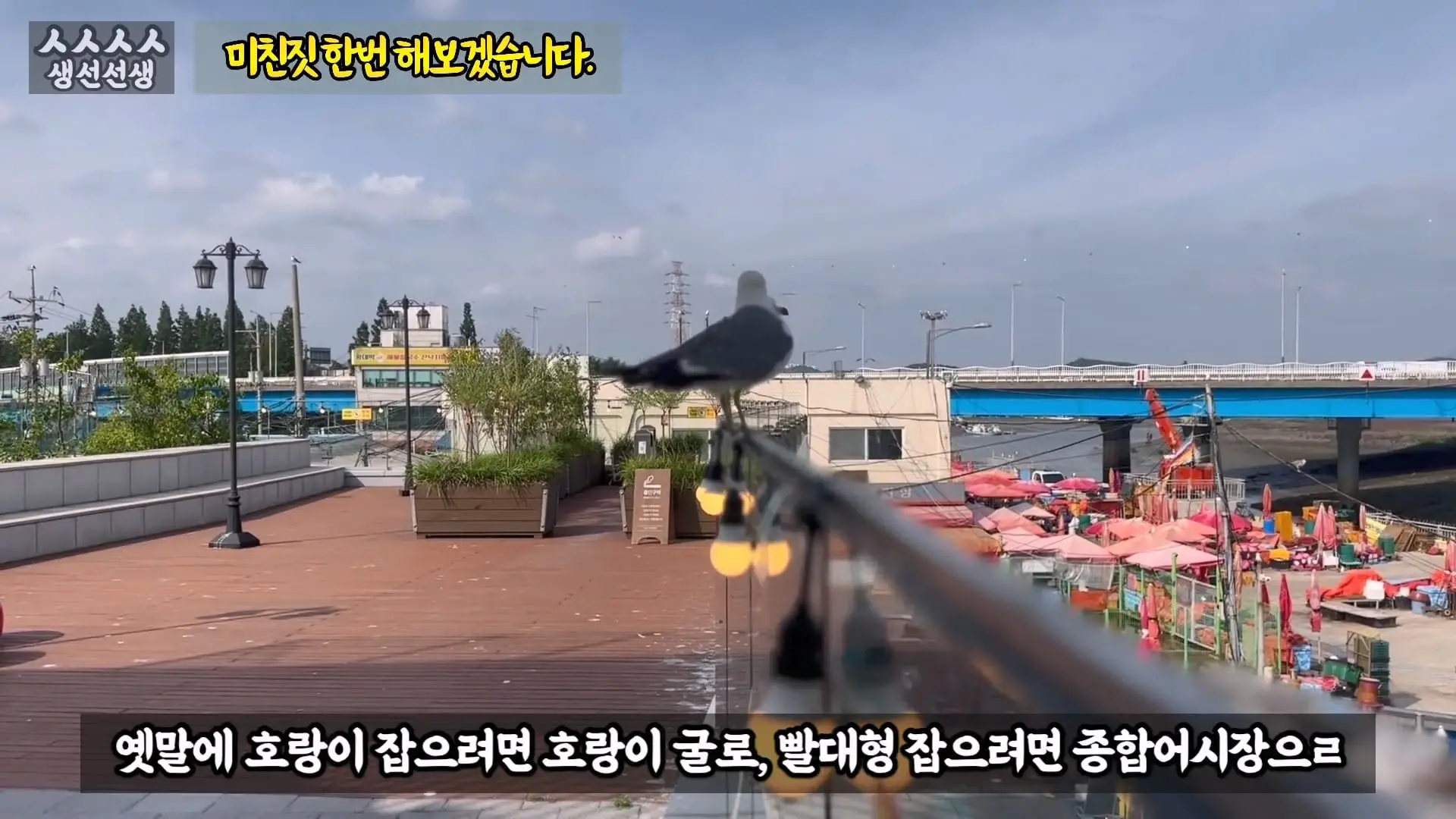 그동안 좀 시시했죠 노답 빌런 수산시장 상인때문에 급발진한 유튜버.mp4_20260919_101218.167.jpg