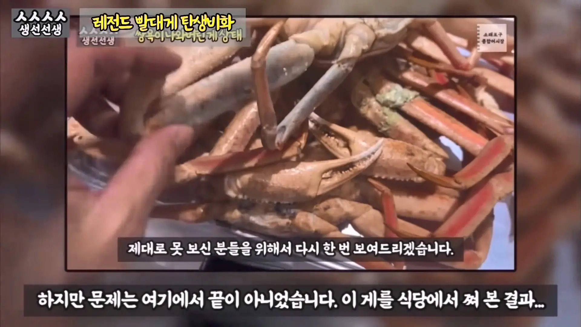 그동안 좀 시시했죠 노답 빌런 수산시장 상인때문에 급발진한 유튜버.mp4_20260919_100621.816.jpg