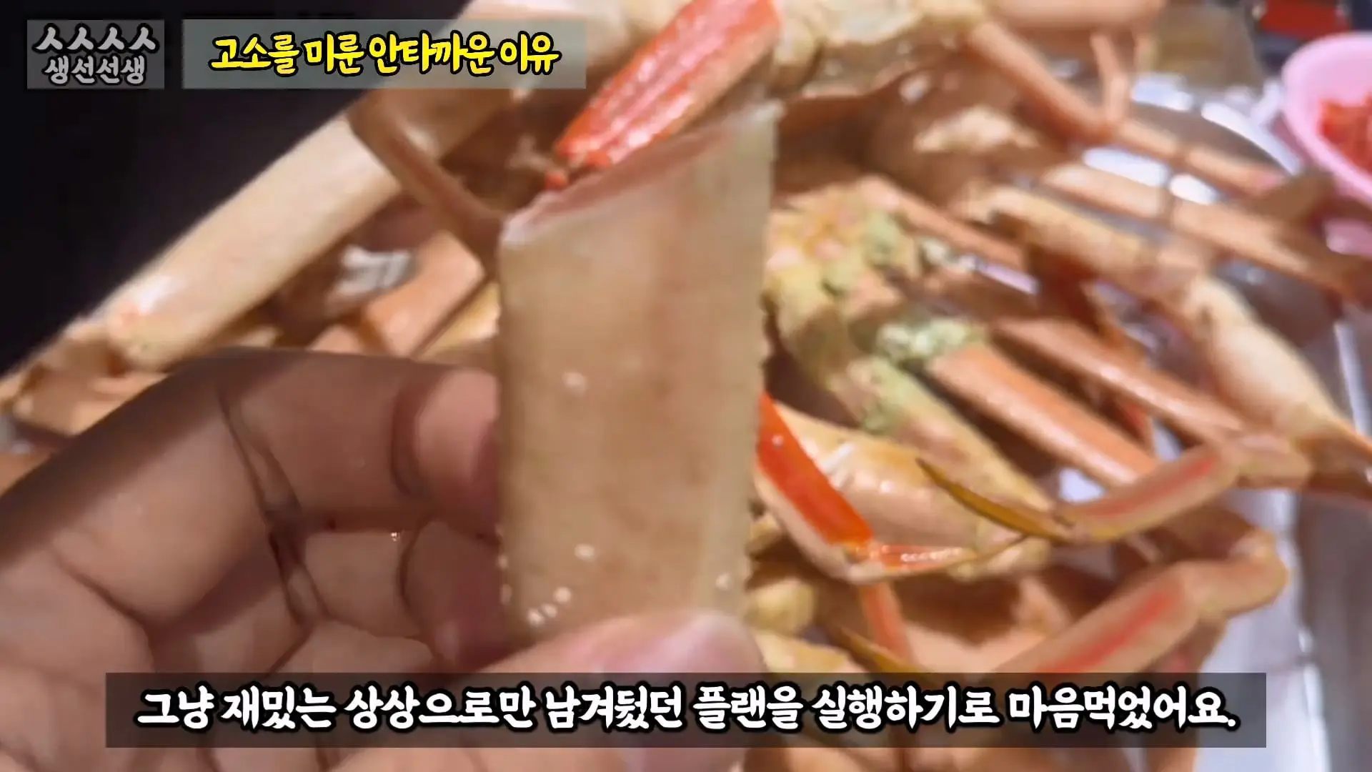 그동안 좀 시시했죠 노답 빌런 수산시장 상인때문에 급발진한 유튜버.mp4_20260919_101153.304.jpg