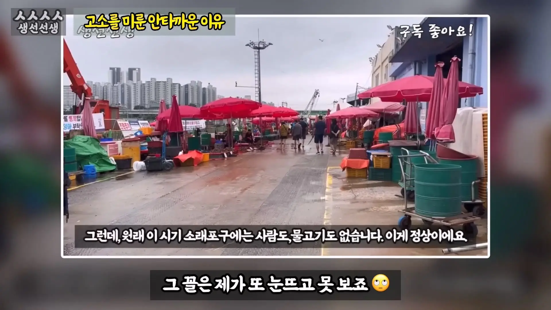 그동안 좀 시시했죠 노답 빌런 수산시장 상인때문에 급발진한 유튜버.mp4_20260919_101046.848.jpg