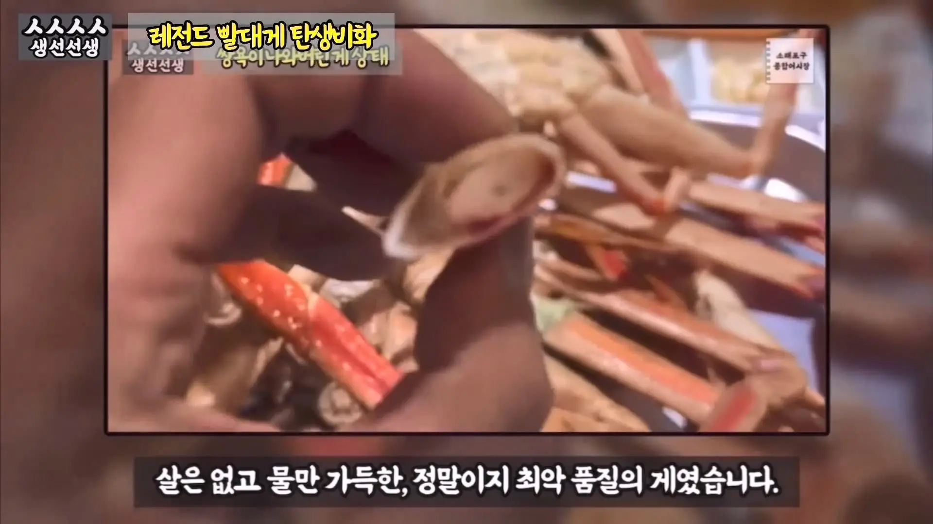 그동안 좀 시시했죠 노답 빌런 수산시장 상인때문에 급발진한 유튜버.mp4_20260919_100631.520.jpg