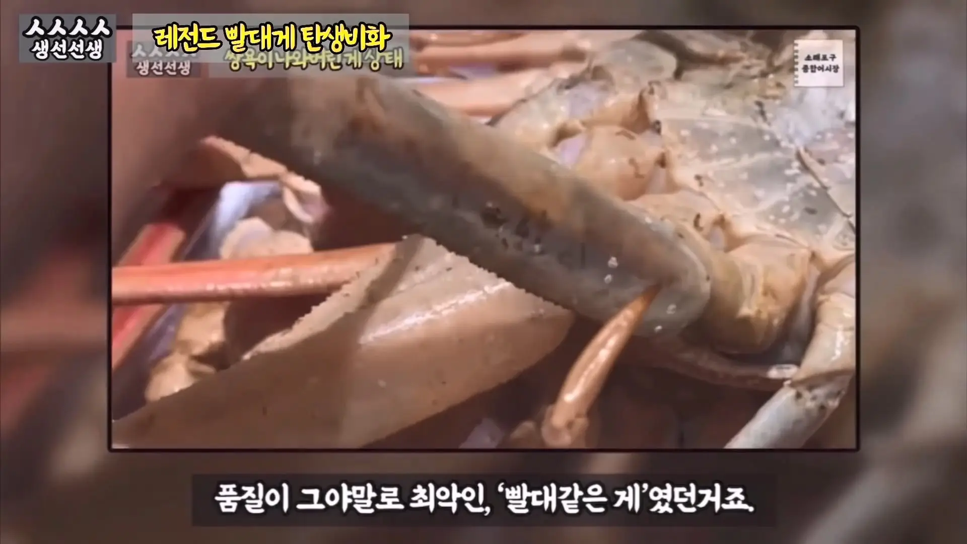 그동안 좀 시시했죠 노답 빌런 수산시장 상인때문에 급발진한 유튜버.mp4_20260919_100626.313.jpg