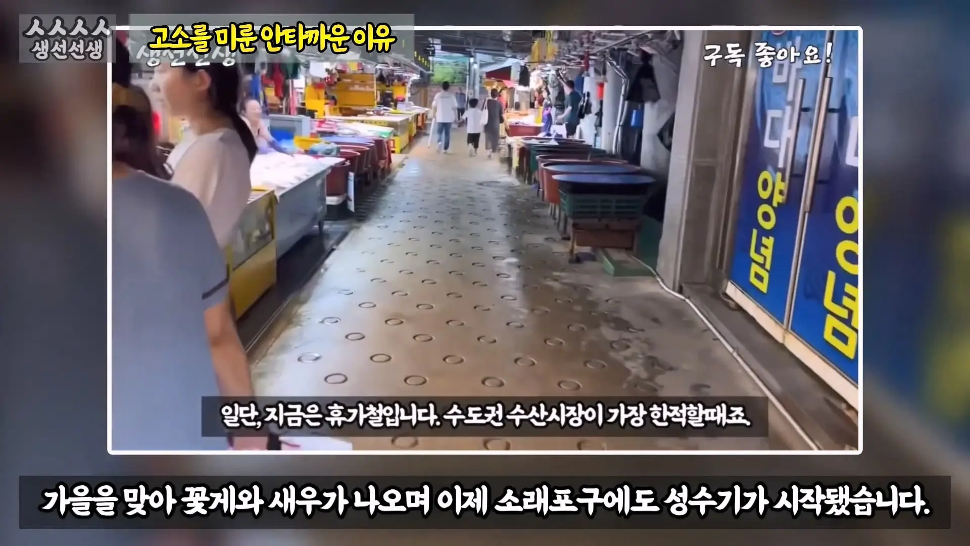 그동안 좀 시시했죠 노답 빌런 수산시장 상인때문에 급발진한 유튜버.mp4_20260919_101057.624.jpg
