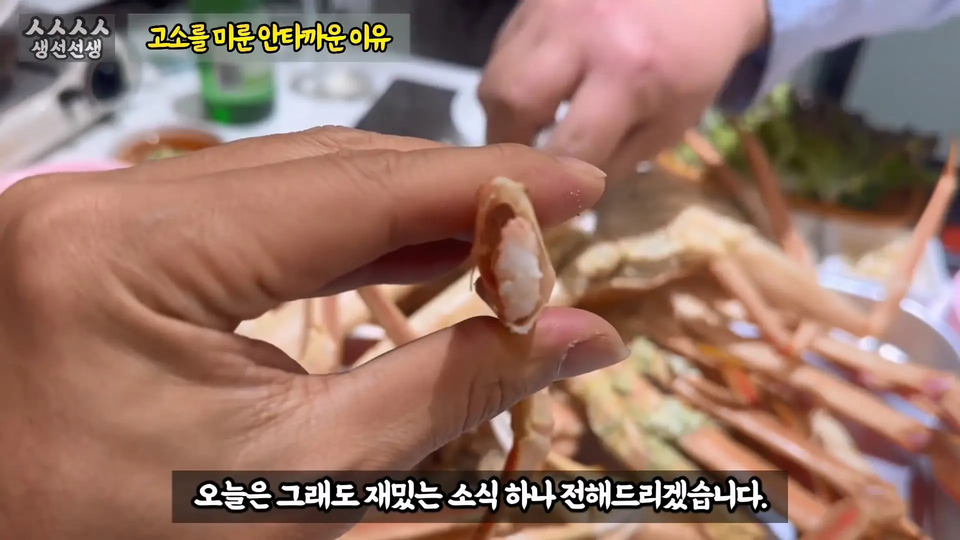 그동안 좀 시시했죠 노답 빌런 수산시장 상인때문에 급발진한 유튜버.mp4_20260919_101125.239.jpg