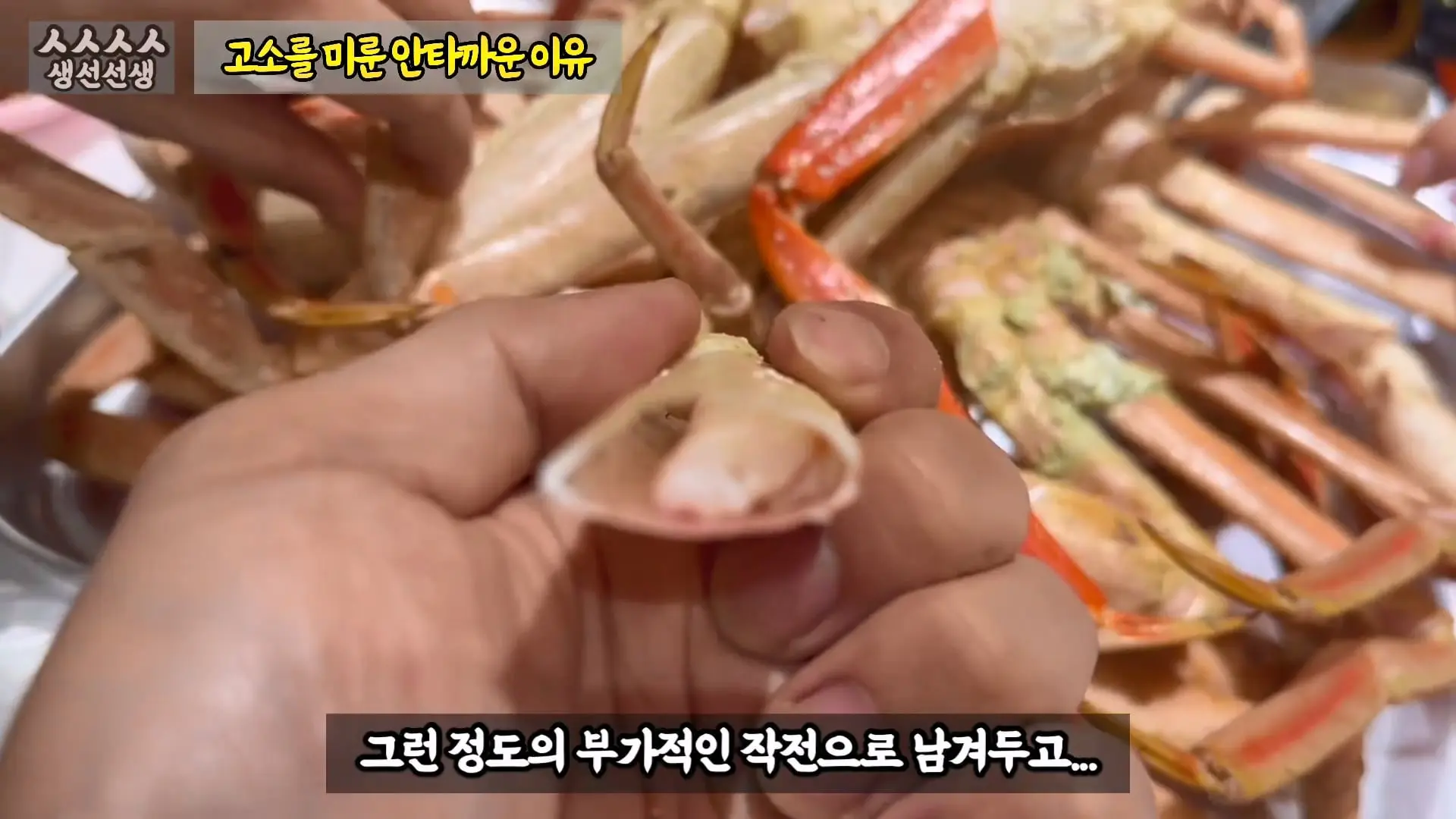 그동안 좀 시시했죠 노답 빌런 수산시장 상인때문에 급발진한 유튜버.mp4_20260919_101149.656.jpg