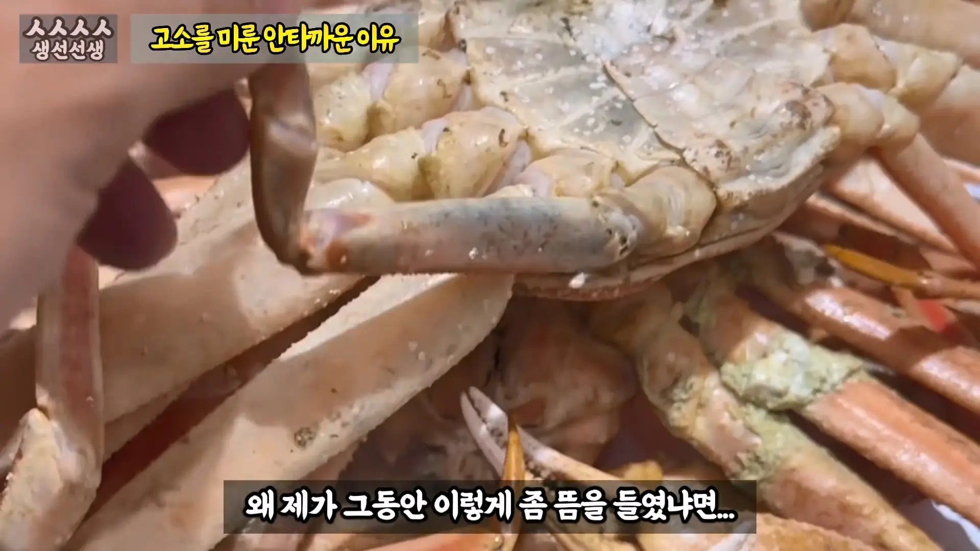 그동안 좀 시시했죠 노답 빌런 수산시장 상인때문에 급발진한 유튜버.mp4_20260919_101020.551.jpg