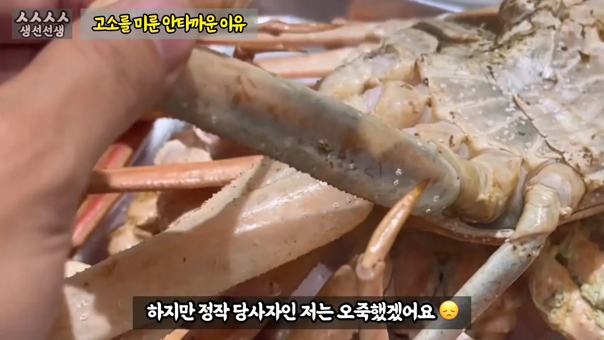 그동안 좀 시시했죠 노답 빌런 수산시장 상인때문에 급발진한 유튜버.mp4_20260919_101017.615.jpg