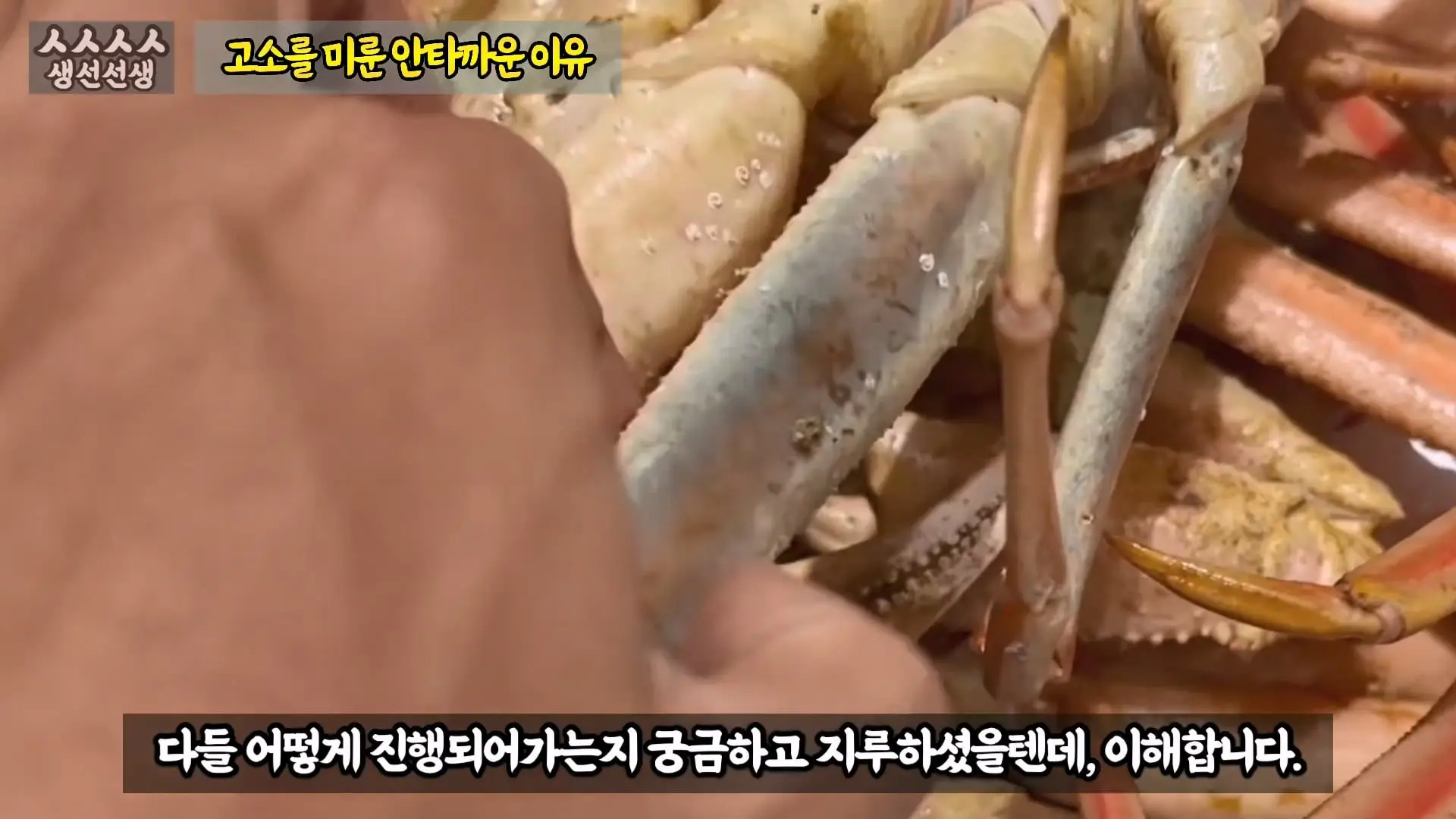 그동안 좀 시시했죠 노답 빌런 수산시장 상인때문에 급발진한 유튜버.mp4_20260919_101012.375.jpg