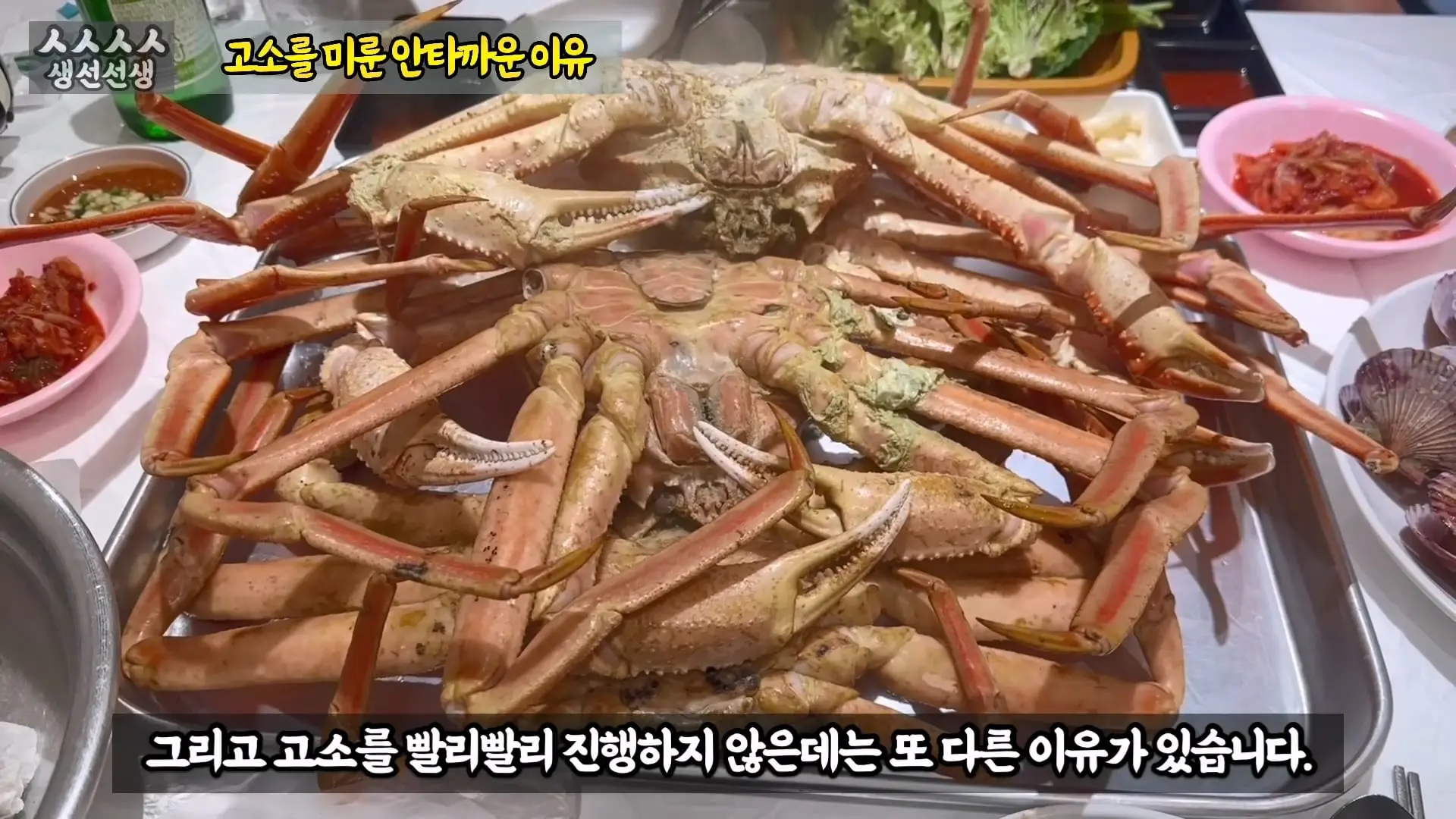 그동안 좀 시시했죠 노답 빌런 수산시장 상인때문에 급발진한 유튜버.mp4_20260919_101008.363.jpg