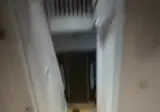 애완도마뱀에게 먹이 주기