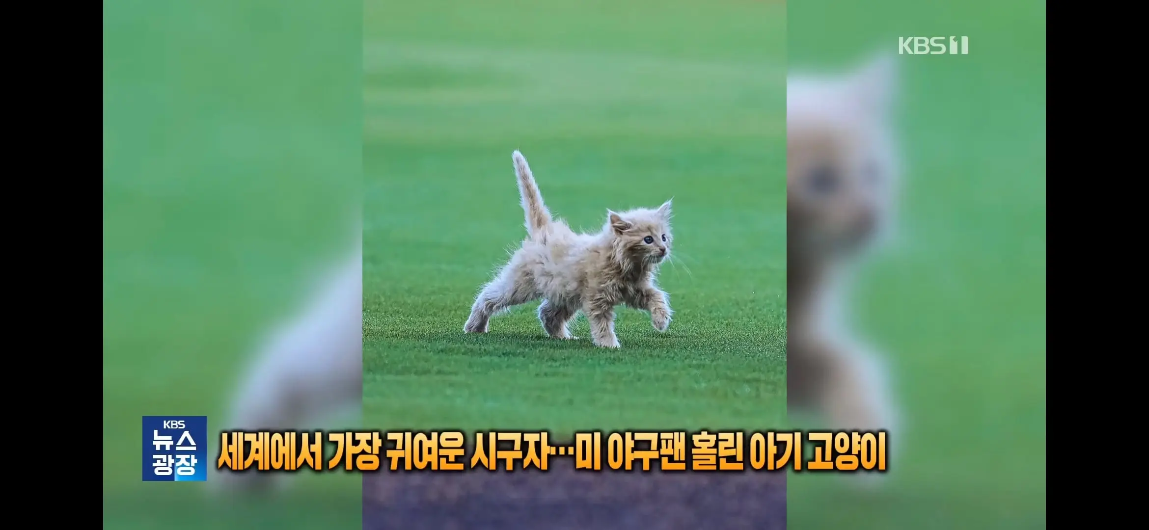 Screenshot_20260918_133810_YouTube.jpg