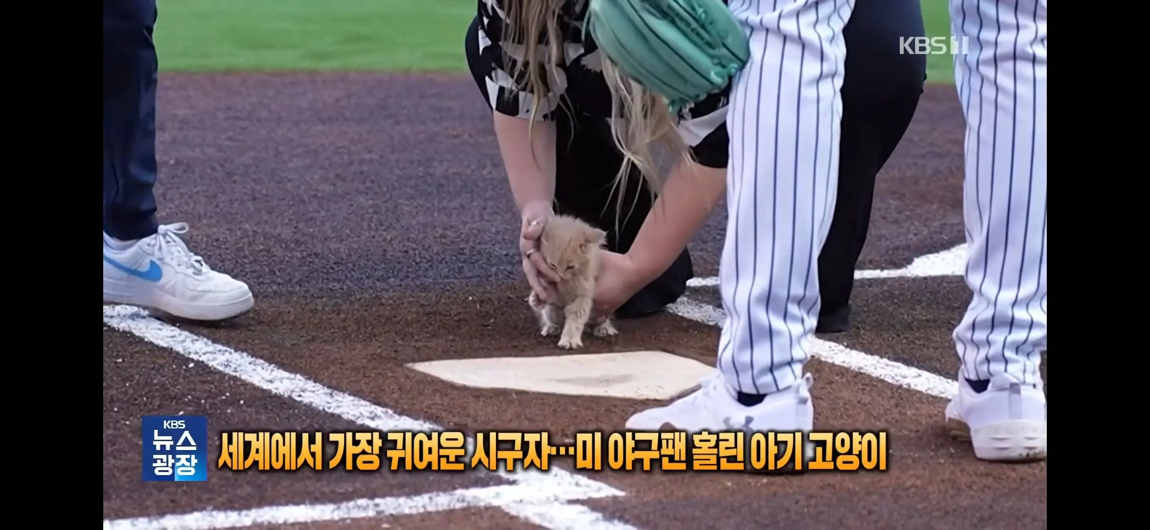 Screenshot_20260918_133817_YouTube.jpg