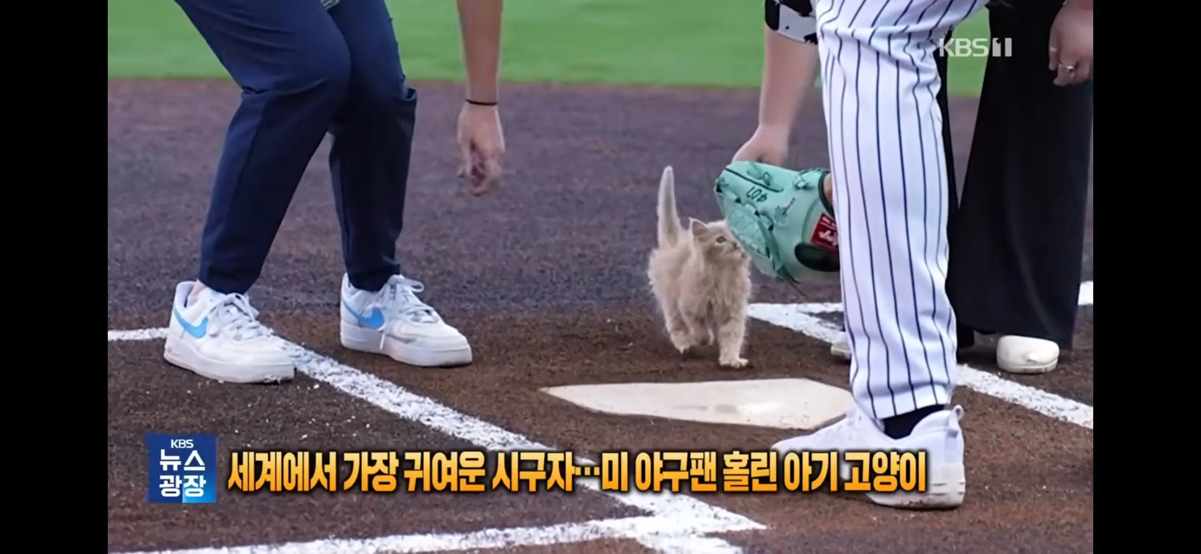 Screenshot_20260918_133802_YouTube.jpg