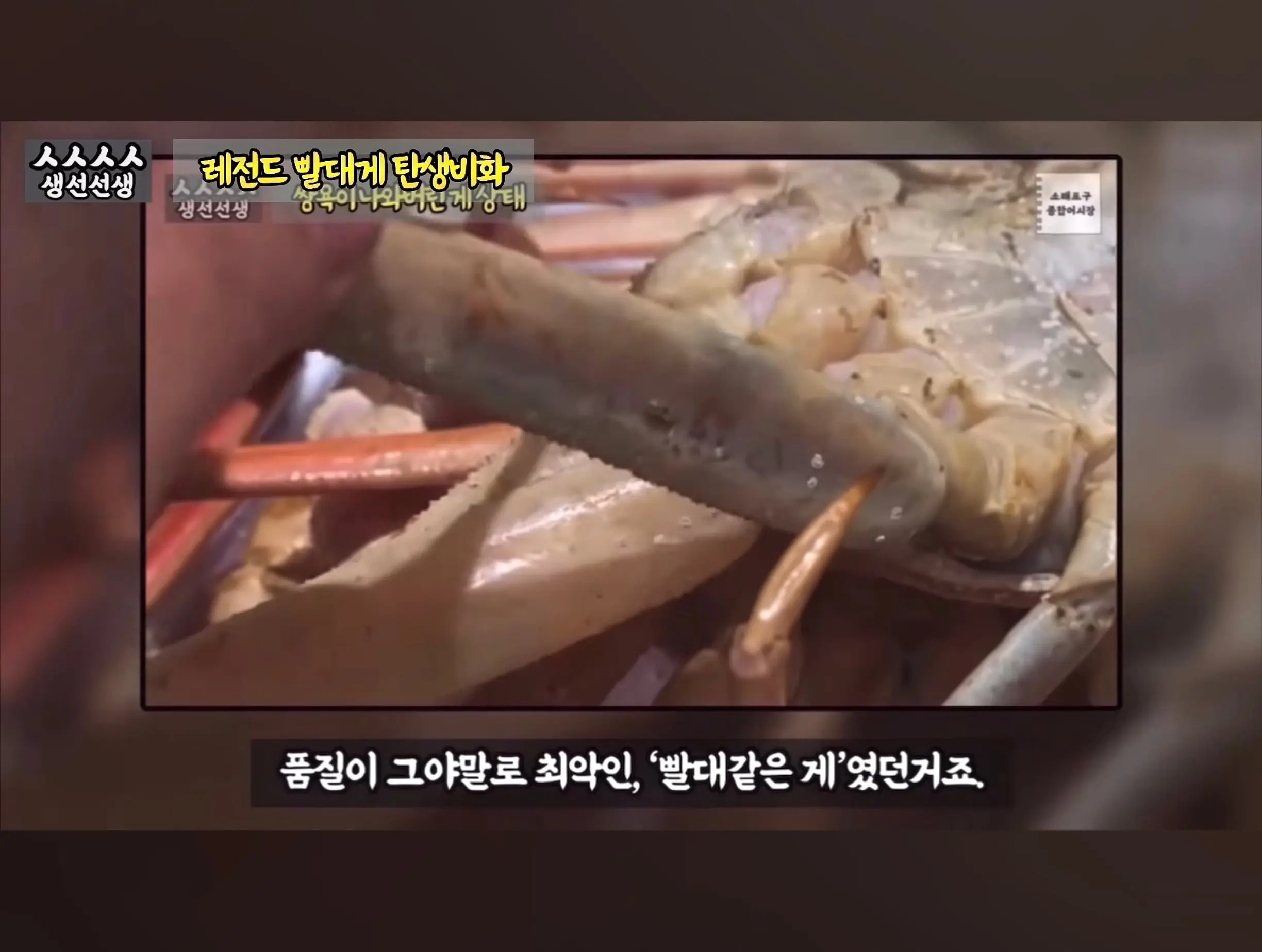 Screenshot_20260919_095127_YouTube.jpg