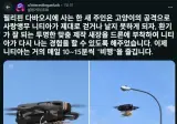 다친 앵무새 산책 시키기.