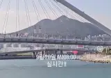 부산 상어 아침8시 기준 행방