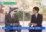 부산 상어 다음 행보 예상.jpg