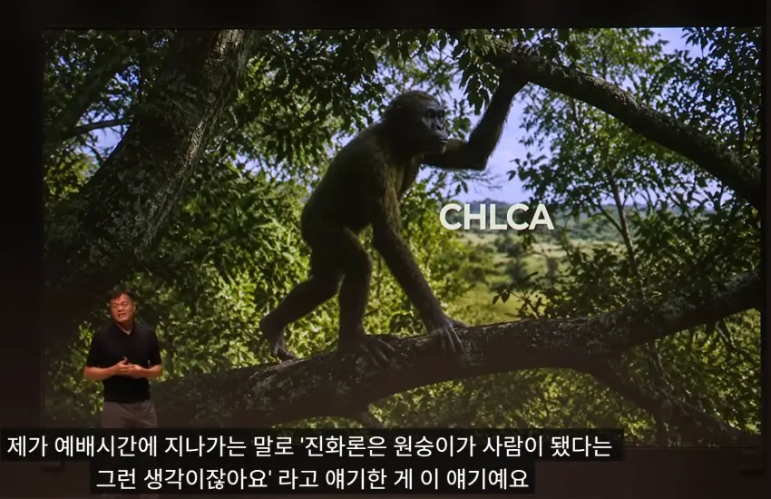 1789885217-7.png