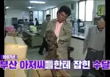 부산상어 이전에 유명했던 부산수달사건..gif