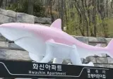 부산에는 버스 정류장에도 상어가 있다 (펌)