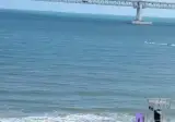 의외의 북항상어 피해자