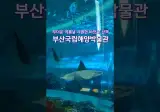 난리 난 상구 실내에서 무료로 시원하게 볼 수 있는 곳
